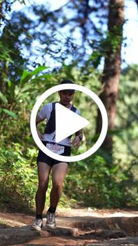 BIB:  <button type="button" onclick="openModal(26787858)" class="btn btn-primary btn-sm float-right" data-toggle="modal" data-target=".modal-high-quality">
                <i class="fa fa-download"></i> Download
                </button>